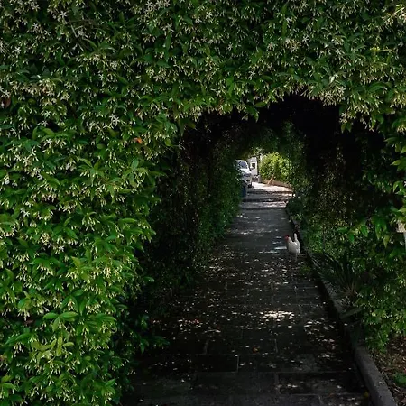 Kalinifta - Io Parto Io Arrivo 4* טריקאסה