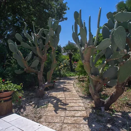 Kalinifta - Io Parto Io Arrivo 4* טריקאסה