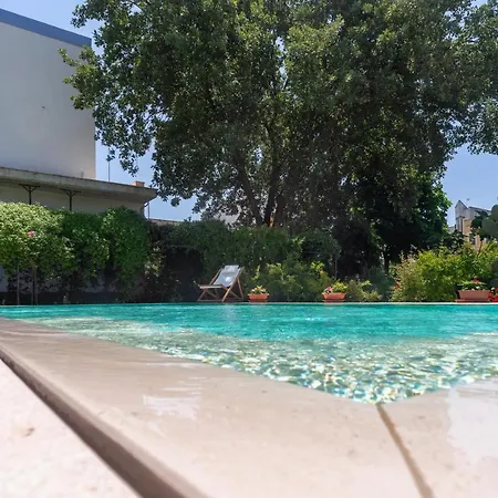 Kalinifta - Io Parto Io Arrivo טריקאסה