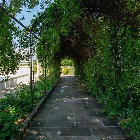 לינה וארוחת בוקר Kalinifta - Io Parto Io Arrivo טריקאסה