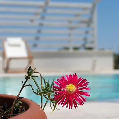 Kalinifta - Io Parto Io Arrivo 4*