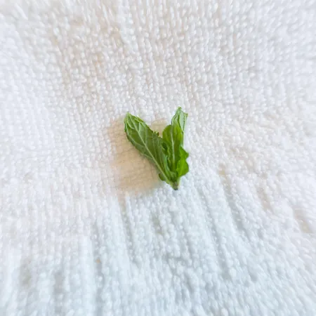 Kalinifta - Io Parto Io Arrivo לינה וארוחת בוקר 4*