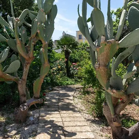 Kalinifta - Io Parto Io Arrivo Bed & Breakfast