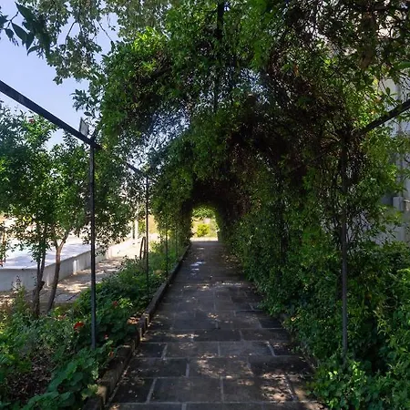 Kalinifta - Io Parto Io Arrivo Bed and breakfast 4*