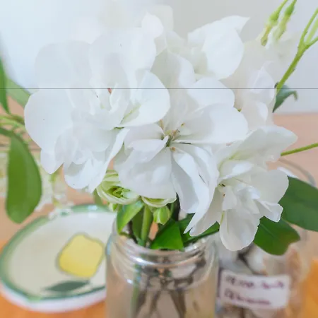 Kalinifta - Io Parto Io Arrivo Bed and breakfast 4*