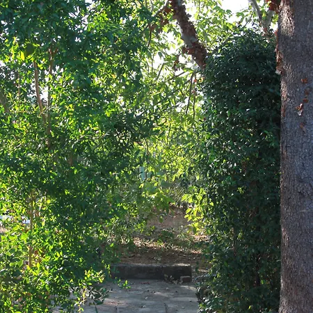 Kalinifta - Io Parto Io Arrivo Bed and breakfast