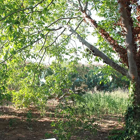 Kalinifta - Io Parto Io Arrivo 4*