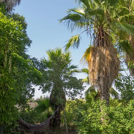 Bed & Breakfast Kalinifta - Io Parto Io Arrivo