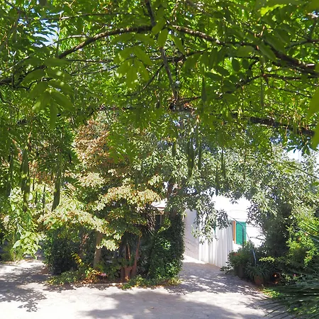 Kalinifta - Io Parto Io Arrivo Bed & Breakfast Tricase