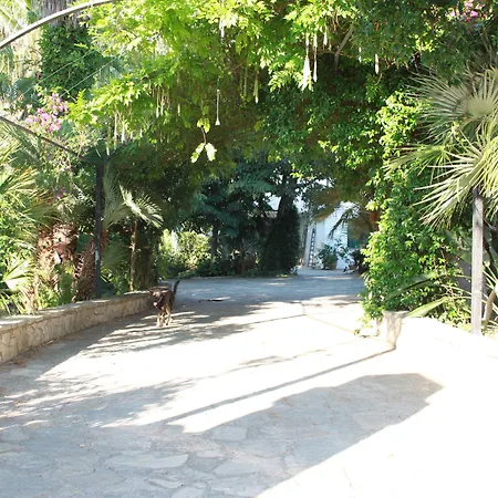 Kalinifta - Io Parto Io Arrivo 4* Tricase