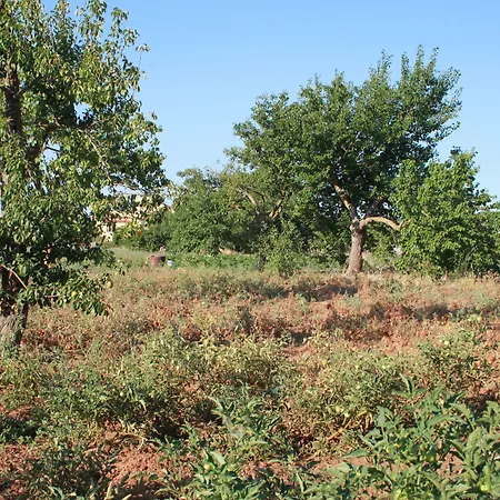 Kalinifta - Io Parto Io Arrivo Bed and breakfast 4*