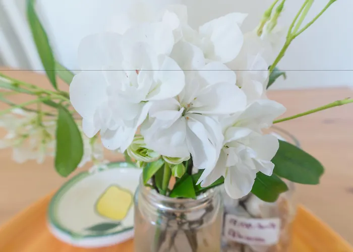 Kalinifta - Io Parto Io Arrivo Bed & Breakfast 4*