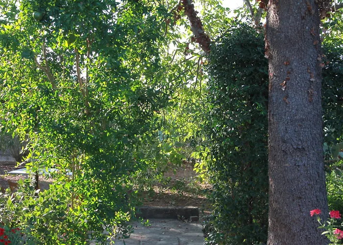 Kalinifta - Io Parto Io Arrivo Bed & Breakfast