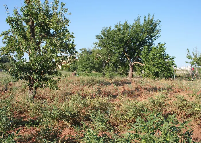 Kalinifta - Io Parto Io Arrivo Bed & Breakfast 4*